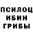 Псилоцибиновые грибы мицелий Roak Play