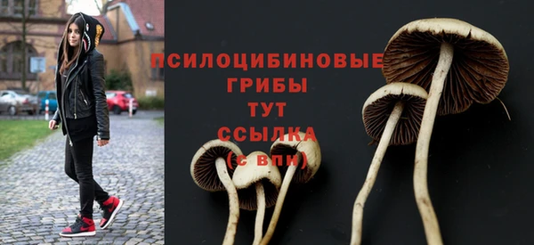 гашишное масло Горнозаводск