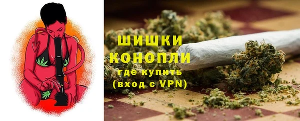 прущие крисы Вяземский